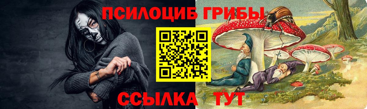 Галлюциногенные грибы мицелий Михайловка