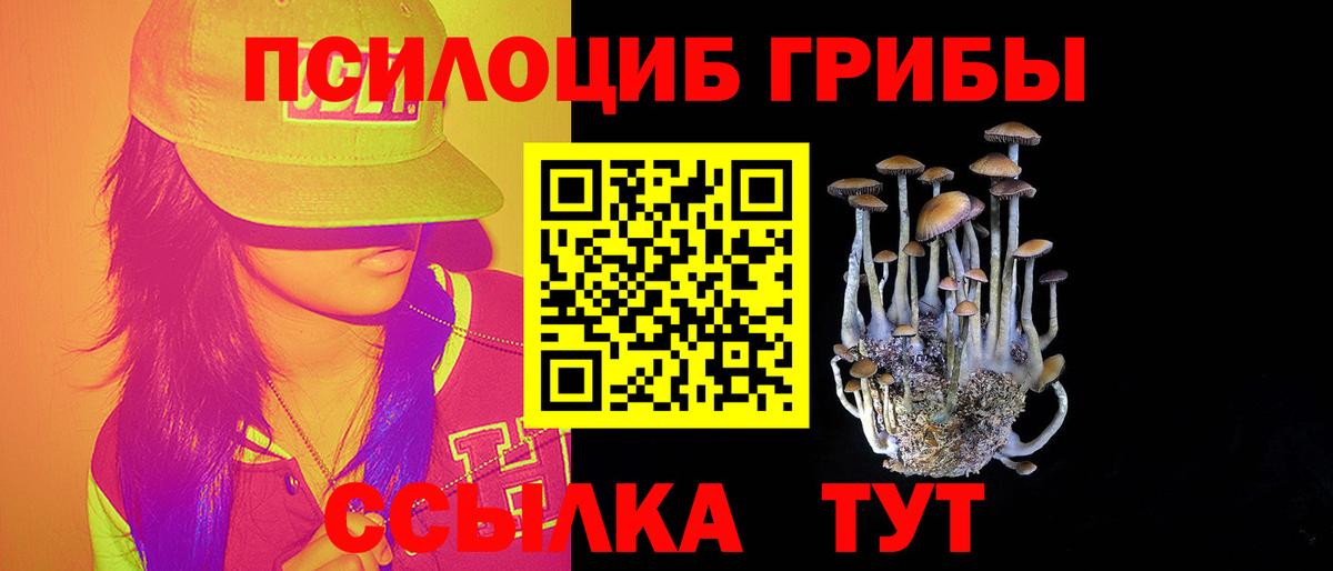 Михайловка  Галлюциногенные грибы мицелий  Вход с VPN 